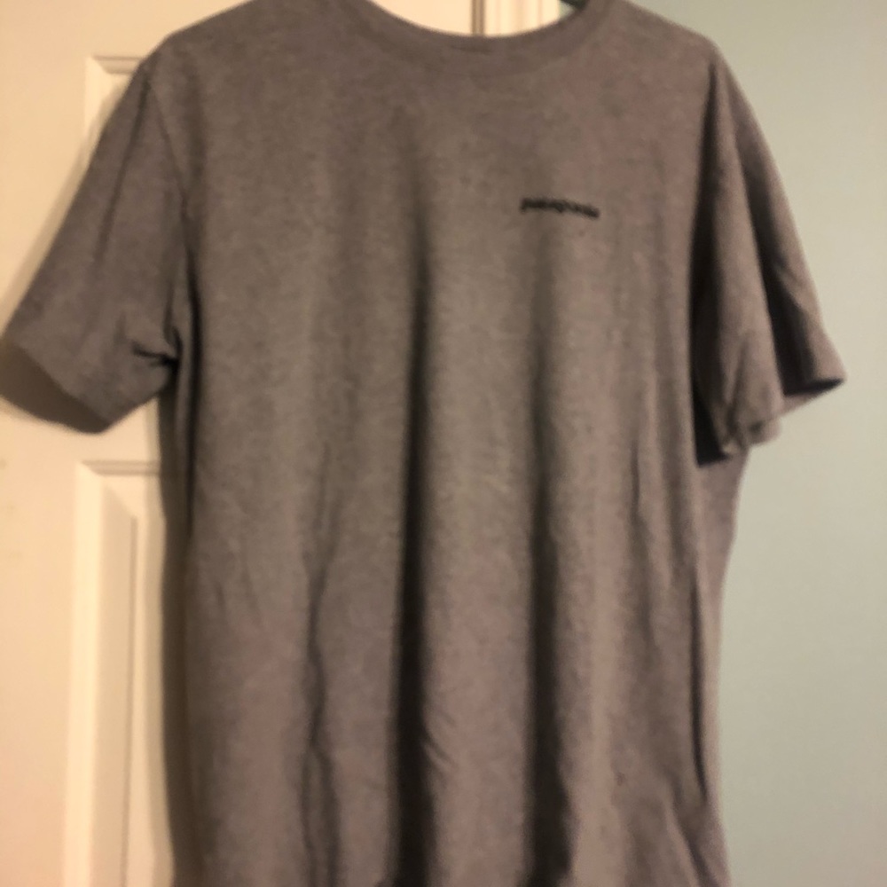 patagonia t shirt